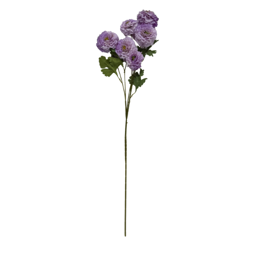 Vara de rosas silvestres