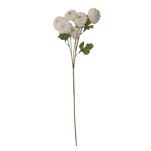 Vara de rosas silvestres