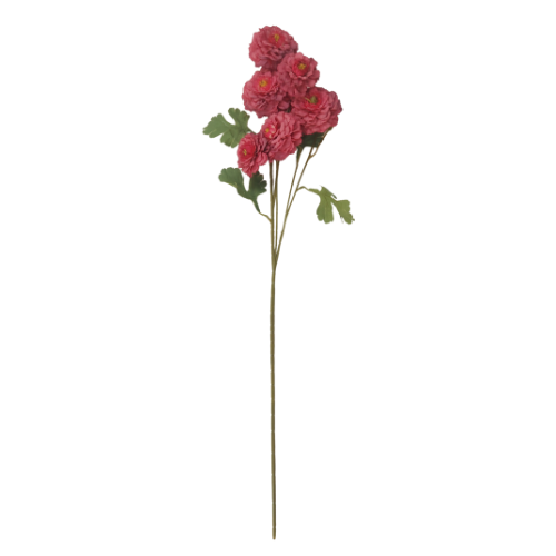 Vara de rosas silvestres