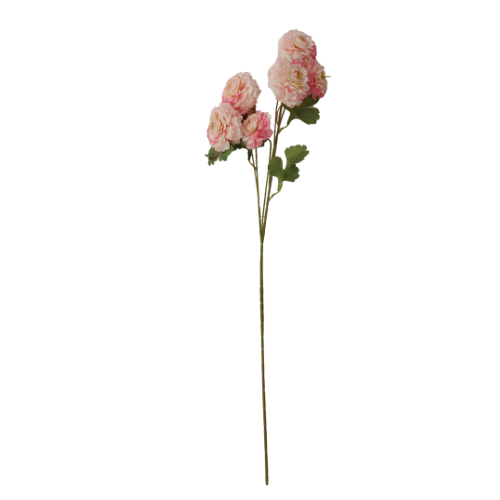 Vara de rosas silvestres