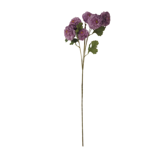Vara de rosas silvestres