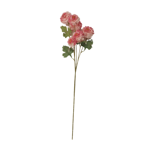 Vara de rosas silvestres