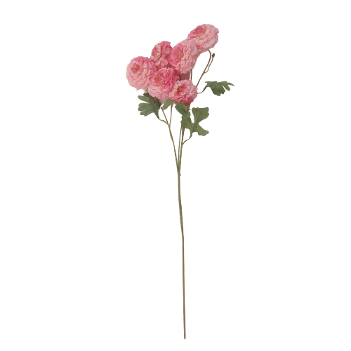 Vara de rosas silvestres