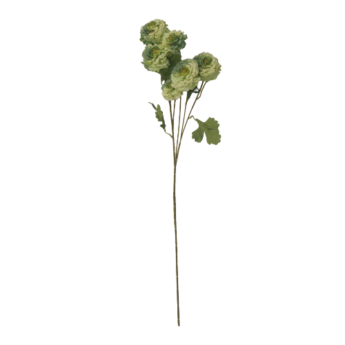 Vara de rosas silvestres