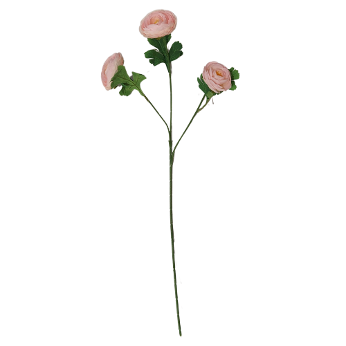 Vara de ranunculus x3