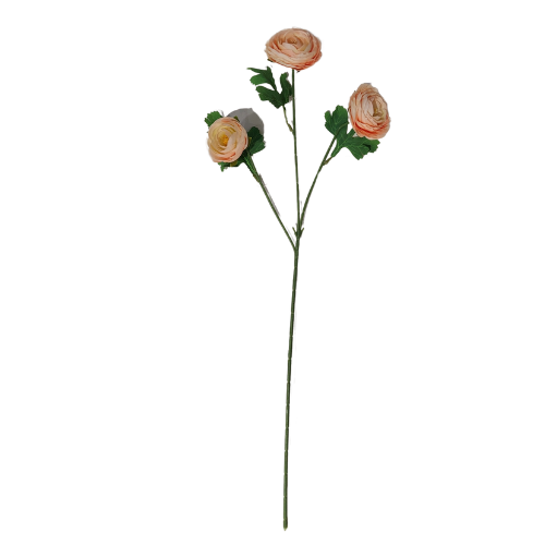 Vara de ranunculus x3