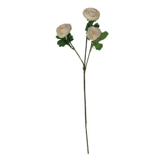 Vara de ranunculus x3